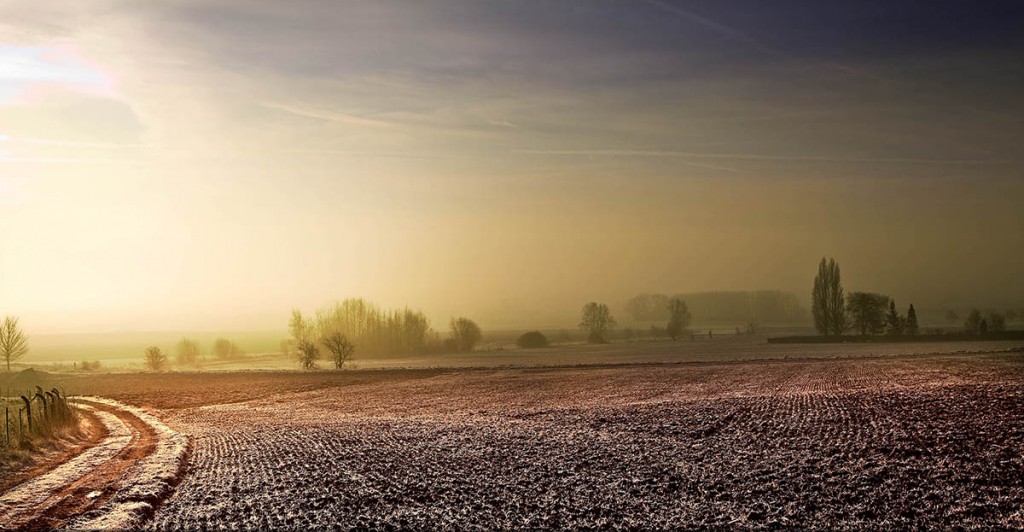 À l'aube même un paysage hivernal de campagne à quelques kilomètres de la maison prend une toute autre tournure