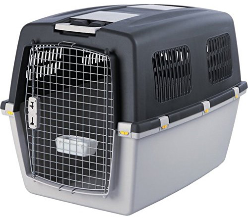 cage-transport-animaux