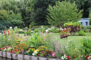 jardin dans les hortillonnages à Amiens