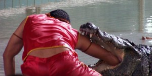 un bras dans la gueule d'un crocodile à Pattaya