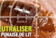 Neutraliser la punaise de lit (une)