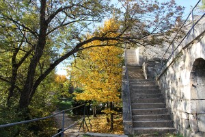 croisement-escalier-sentier-bastille