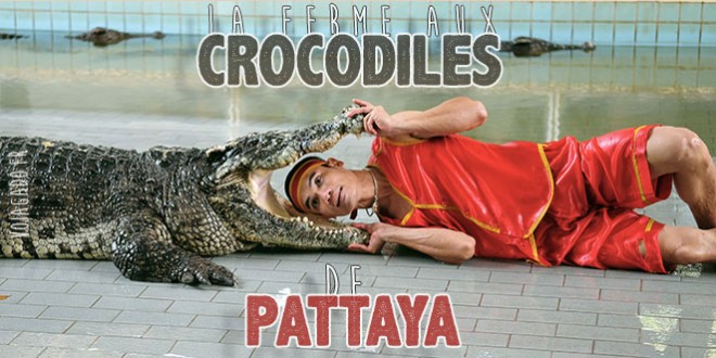 Homme qui met sa tête dans la gueule d'un crocodile, à Pattaya (une)