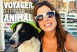 Voyager avec son animal de compagnie (une titrée)