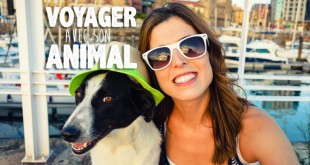 Voyager avec son animal de compagnie (une titrée)