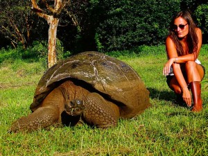 jeanne est près d'une tortue géante en équateur, pays d'amerique latine