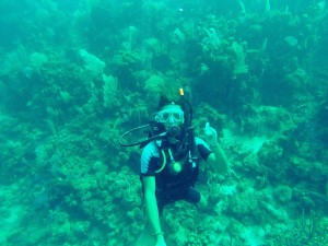 Stefenn et Jeanne plongent avec bouteille dans les eaux turquoises des côtes du Honduras, en Amérique Larine