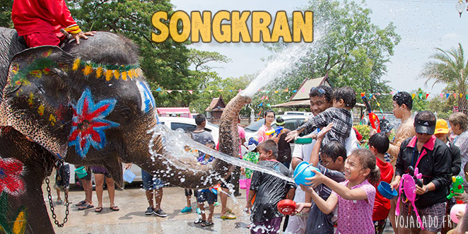 Fille qui projette de l'eau sur un éléphant